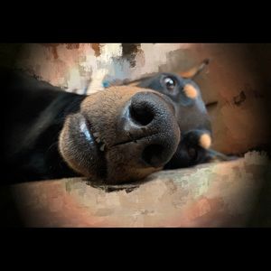 Meet your Posher, Nikki